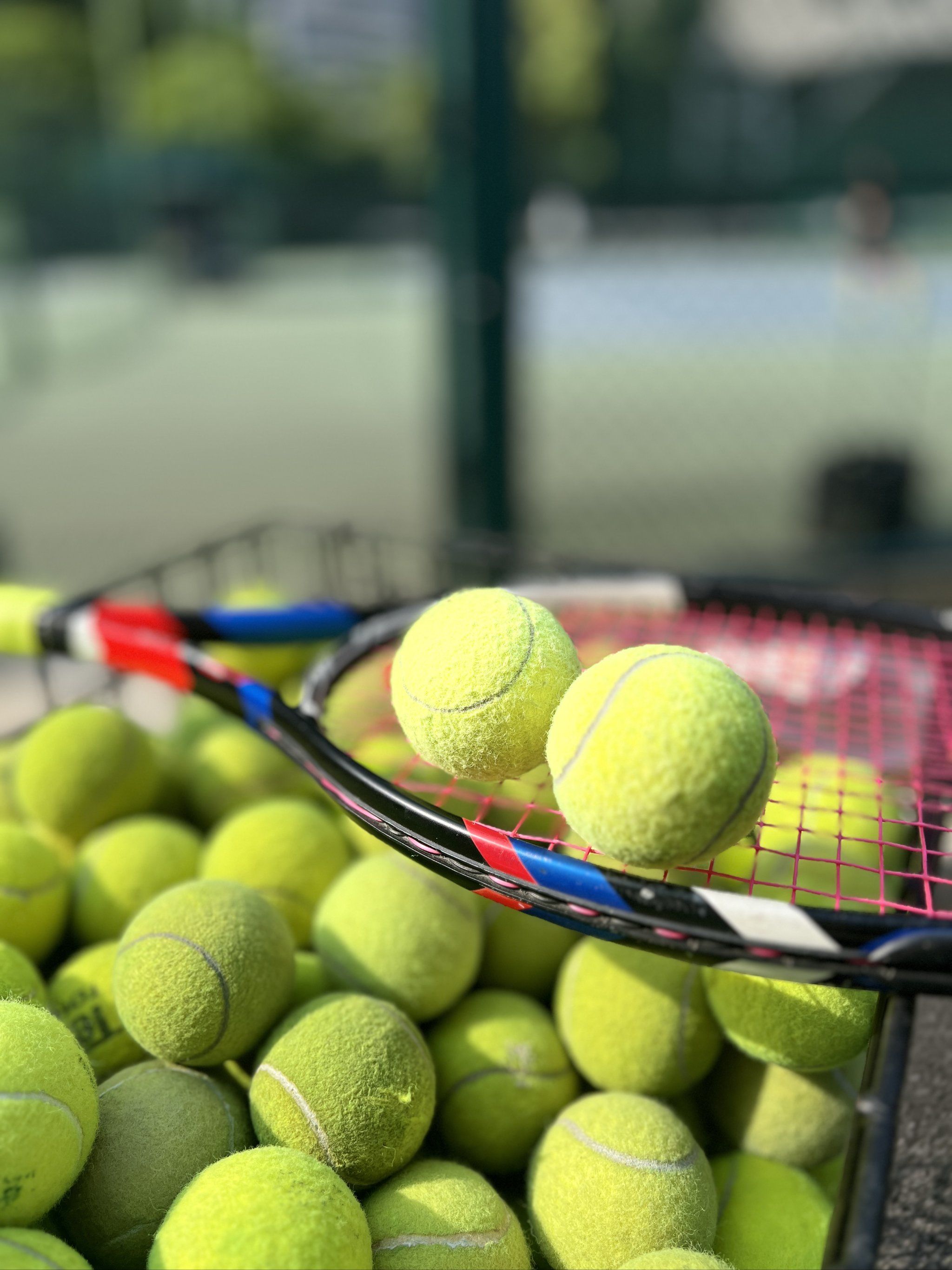 撕开后门 撕开后门